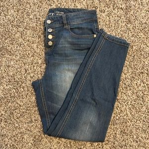 Hippie Laundry Mid Rise Skinny Jeans